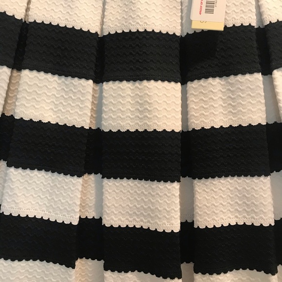 NWT Classic Pleated Size S Skirt - Picture 2 of 4